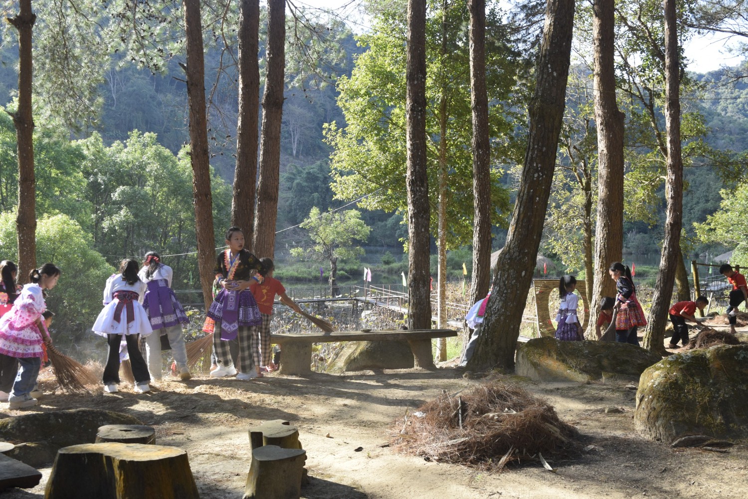 Hoạt động chuyên môn