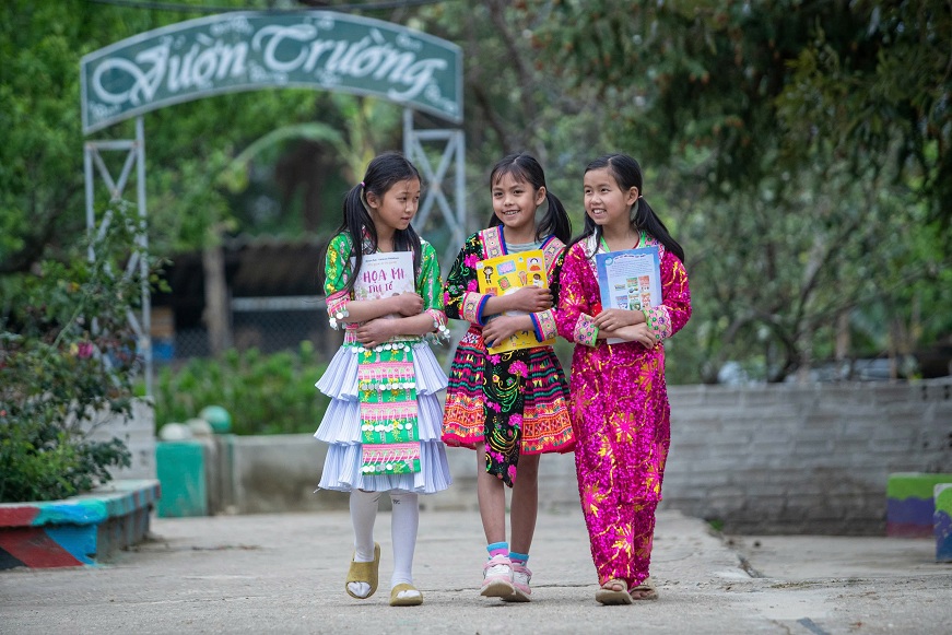 Hoạt động chuyên môn