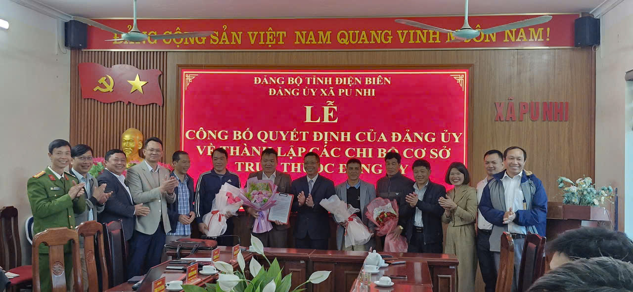 Hoạt động chuyên môn